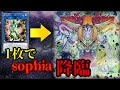 【遊戯王ADS】全てを除外する先攻コンボ!!「創星神sophia」1枚からソピア降臨【#遊戯王】