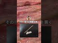 爪楊枝で剣作ったから安価で名前付ける #shorts #2ch