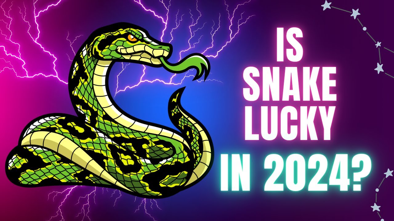 🚀Snake Chinese Horoscope 2024 Is Snake lucky in 2024? YouTube