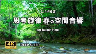 自然の音 ベンガルの魂 Nature Sounds for Focus: Mind Regeneration 1/f Rhythm | Enbara