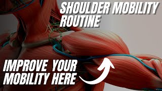 Upper Limb Mobility Sequence