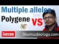 Genetic Variations Through Multiple Alleles and Polygenic Inheritance
