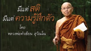 มีแต่สติ มีแต่ความรู้สึกตัว โดย หลวงพ่อคำเขียน สุวัณโณ