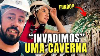 A GRUTA ONDE O TIGRE DENTE-DE-SABRE SE ESCONDIA (VLOG)