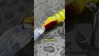 Warum ich nur eine kleine Box für Hecht, Zander und Barsch mitnehme