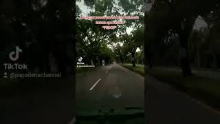 Pedot aselole tak dung dung aselole pedot #viraltiktok. #fyppppp. #pedoooooooooooot