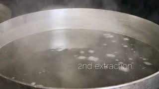 2nd extraction at i5 Pho in Tacoma, WA.