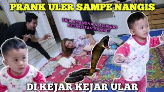 PRANK ISTRI DAN ALIANDO PAKE ULAR