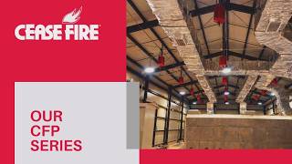 Zero Corrosive Damage: Specialized Fire Suppression for High-Value Assets