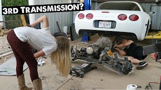 2000 Corvette Transmission