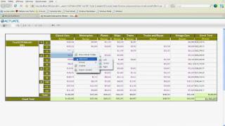 Cube and Crosstab Actuate BIRT Analyzer