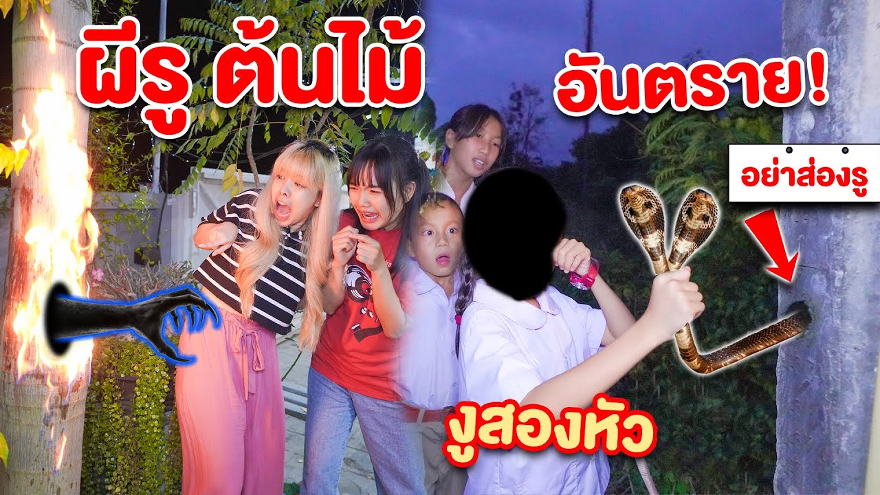 A collection of dangerous clips: Don't peek into a hole and you'll encounter a two-headed snake