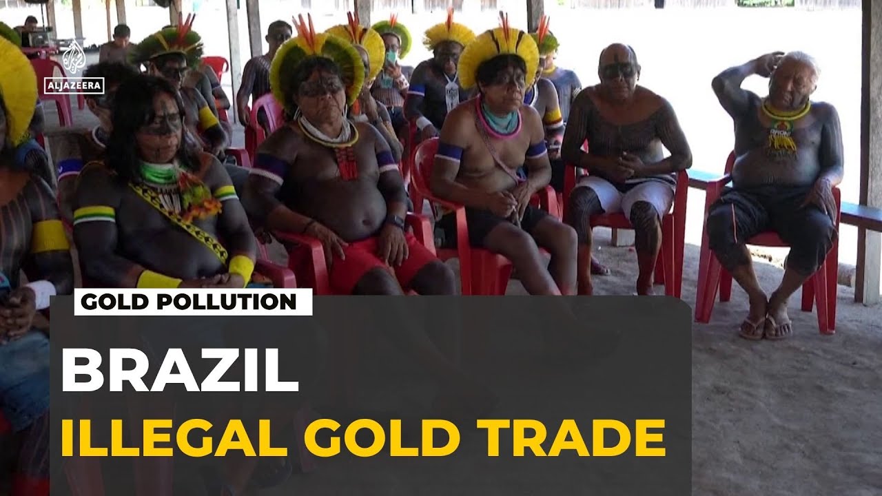 Illegal Gold Mining and Mercury Pollution in the Brazilian Amazon
