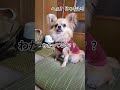 ご飯中の方は見ないように！