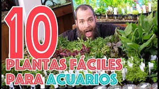 10 plantas fáciles para acuarios  TOP 10