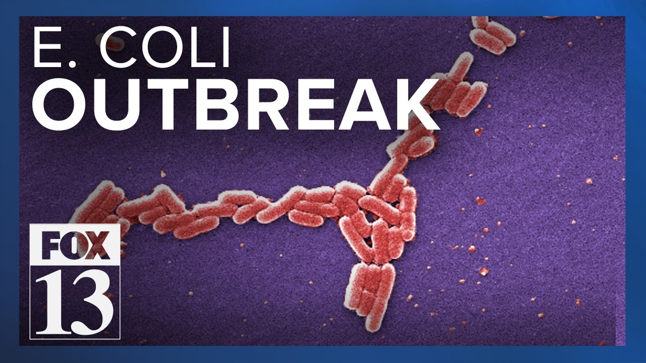 E. coli outbreak discovered in Cache County - YouTube