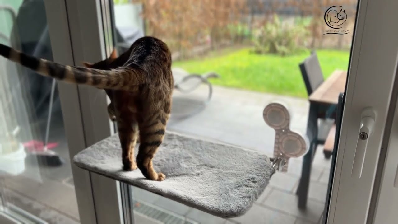 CLEVERCAT Fensterliege Silber - Gepolsterte Katzenliege Für Fensterbank Made In Germany