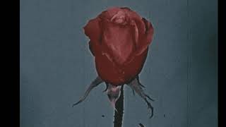 Radiohead - Lotus Flower  ( S L O W E D + R E V E R B )