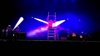 Sheger Circus Free Stand Laddre