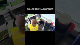 🌿 From seeds to harvest…Let’s grow together!🌱🍅#PV4L #ProgressVillage #CommunityGarden