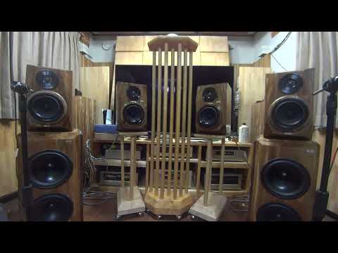 Ellipticor 18WE 4542T00 D3404 552000 サブウーファー 