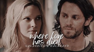 ❖ galadriel &amp; halbrand | where love has died [+1x05]