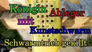 Kunstschwarm Bilden Schwarmlust Killen Königin Ableger