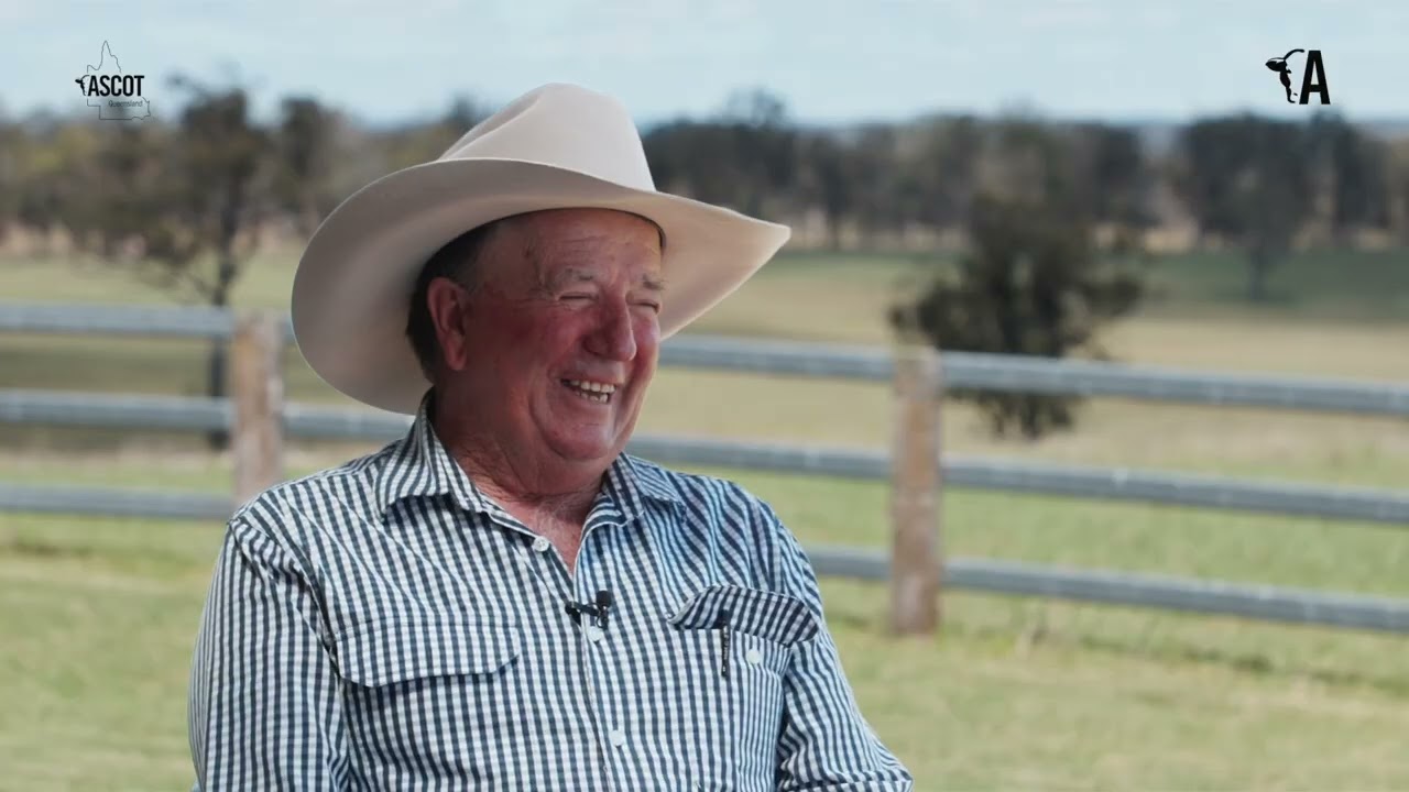 Ascot Cattle Co & Mike Benn