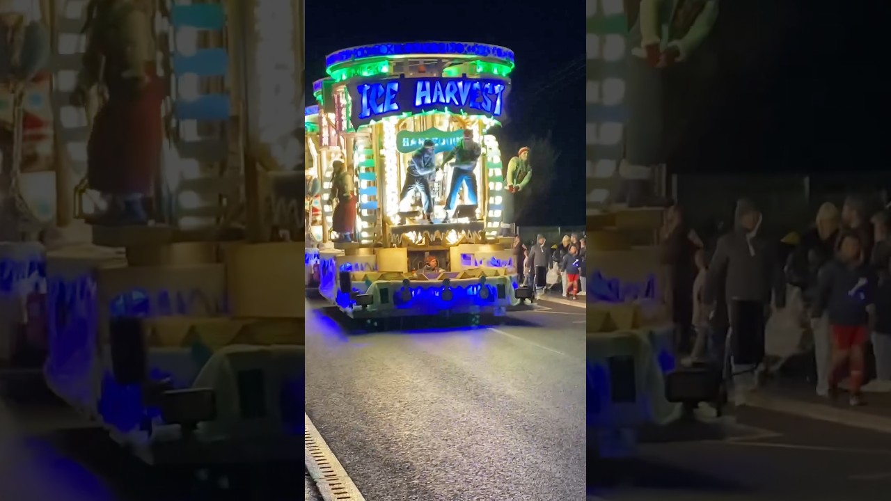 Wellington Carnival Harlequin CC 2025 