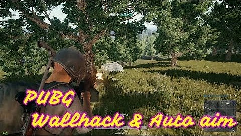 【PUBG】チーター視点！オートエイム！ウォールハック！ついに出会ってしまった！