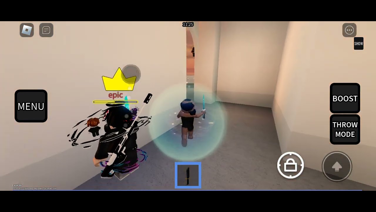 I REACHED LVL 100 !!