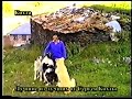 Грузинские горные собаки 🇬🇪 Картуши Нагази 🇬🇪