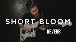 Short Bloom Strymon BigSky Preset Example (Kenyon Reed)
