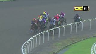 Vidéo de la course PMU PRIX SPALATO 2016 STAKES