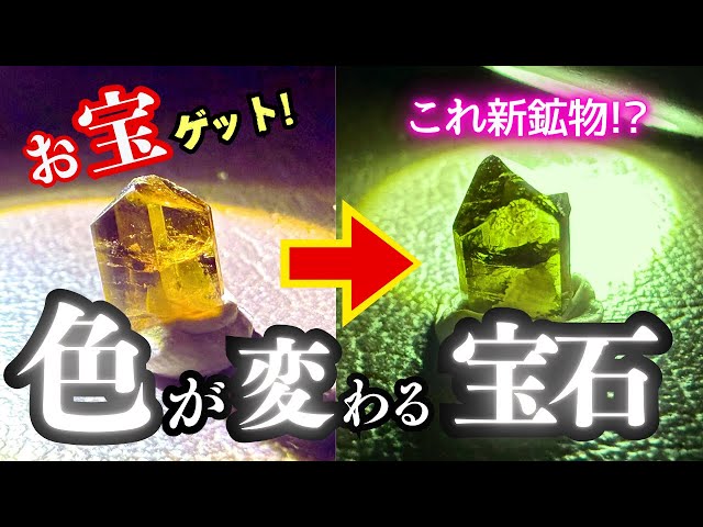 A world first!? A journey of great discovery in search of a