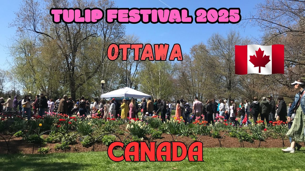 Ottawa Tulip Festival 2025 #2 | Canadian Tulip Festival 2025 Ottawa Canada Commissioner's Park
