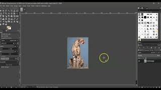 Save, then Copy/Paste to a Floating Layer
