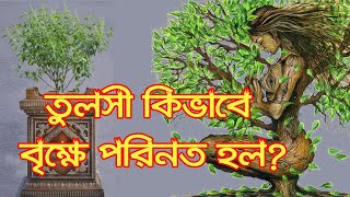 তুলসী কে? তিনি কিভাবে বৃক্ষে পরিনত হলেন? Who is Tulsi  & How did She Turn Into a Tree?