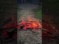 Fire nature Mozart #piano #mozart #nature #music