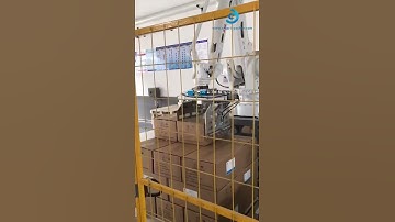 ABB robot hand carton box case automatic robot hand palletizing machine line
