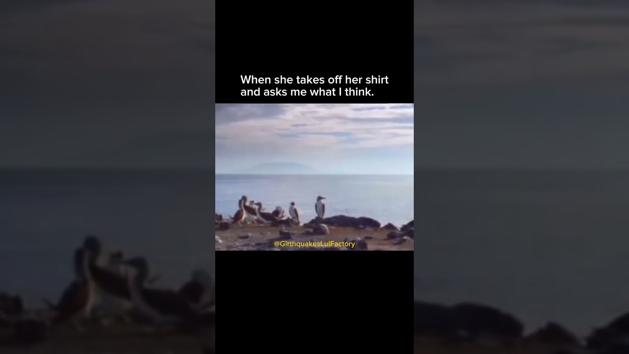 Сэр Дэвид Аттенборо… Неосознанно легенда 😂