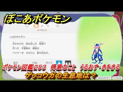ぽこあポケモン　ゲッコウガの生息地は？　ポケモン図鑑２５３　得意なこと　うるおす・きをきる　＃９９７　【ぽこポケ】