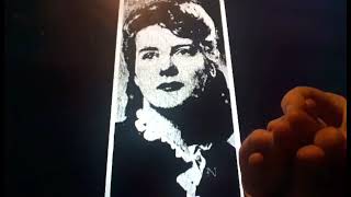 Horacio the handsnake - Mary Liotta Content