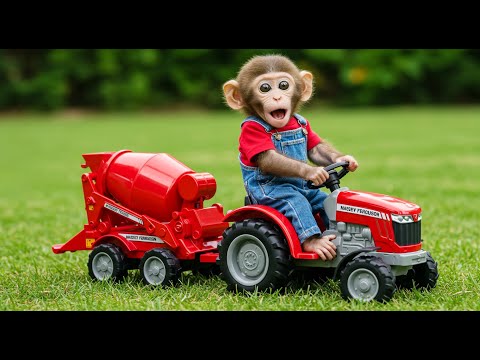 Shocking. Monkey Learns