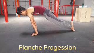Planche and Handstand Progession |Beginners Exercises|Calisthenics Skills 