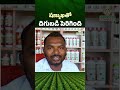 INNOVATIVE AGRI PRODUCTS FOR MODERN FARMING #shanmukha  #natural #sustainablefarming #organic
