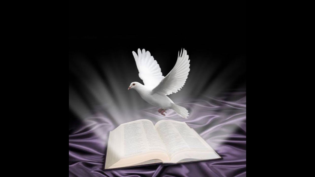 LIVE: PASTOR: Robert TUJAN 