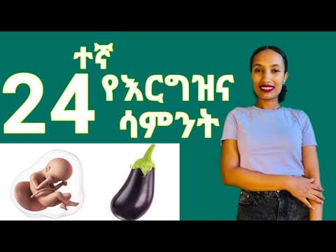 ቪዲዮ: በስታሊን ስር ያለው የኃይል ርዕሰ ጉዳይ