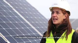 Solar innovation in the Atacama Desert |ACCIONA