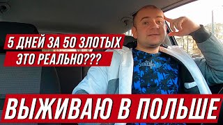 Как прожить 5 дней за 50 злотых в Польше? Что едят бедные украинцы